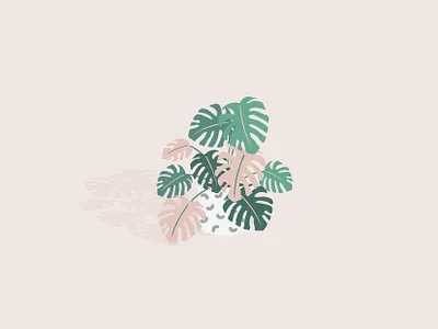 Plant decorative design green growing houseplant illustration illustrator minimal monstera plants shadow vector