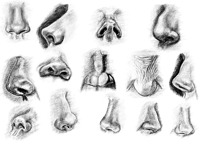 Nose exercise art design procreate procreate art