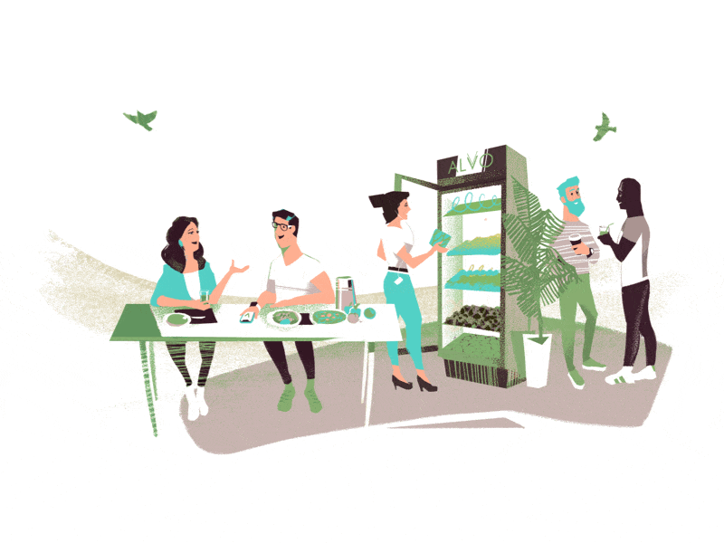 Alvo — Illustration process branding design drawing food food app identity illustration natural responsive web design startup ui