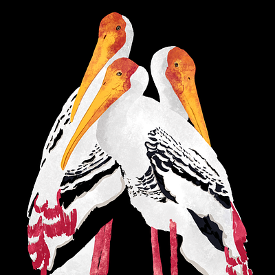 Painted storks birdlover birds indianbirds nature paintedstork procreate art storks texture vibrant