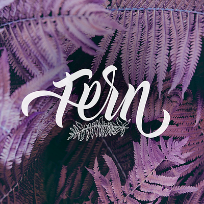 Fern calligraphy calligraphy and lettering artist design hand drawn handlettering illustration lettering letters typography vector