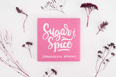 Sugar & Spice Procreate Brush brush calligraphy digital lettering procreate procreate brush procreate brushes