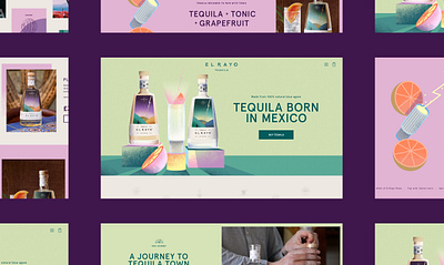 El Rayo Tequila ecommerce ui design