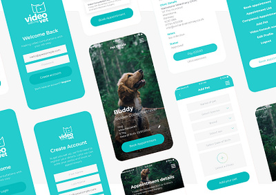 Video with my Pet app application design brand design flat graphic design typography ui ux ux design vet vet app veterinarian veterinary web website