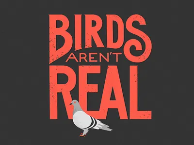 Birds Aren't Real design hand drawn hand lettered hand lettering illustration illustration art illustration design lettering typography
