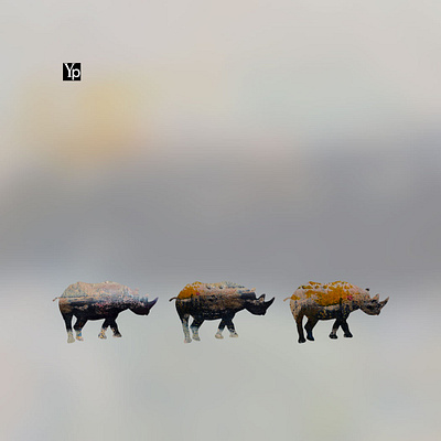 YP Three Hippo's - Product Line Design Concept abstract art animal art concept design graphic design hippo vector