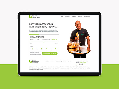 Banco Provincia - Microcreditos design proposal sketch ui ux web