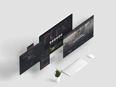 QWER.GG leagueoflegends lol riotgames ui web website