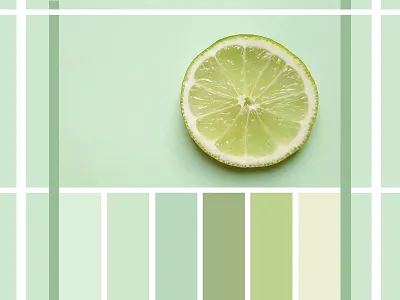 Color Schemes color color scheme daily ui dailyui design design thinking graphic design grid guides illustration typography