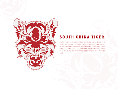 South China tiger 3d design logo south china tiger south china tiger 插图