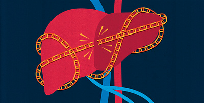 Breaking the Hepatitis C lifecycle anatomic anatomy conceptual disease editorial editorial art editorial illustration hc health hepatitis hepatitis c illustration illustrator liver textured treating virus