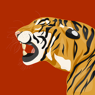 Tiger King 🐯 adobe adobe draw adobe illustrator graphic illustration illustrator tiger tigers vectors