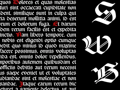 Rotunda typeface calligraphy design font fontdesign gothic lettering logotype typedesign typeface typography шрифт