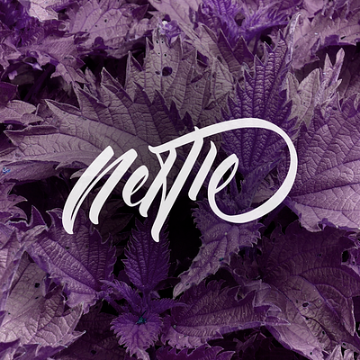 nettle purple calligraphy calligraphy and lettering artist design flat hand drawn handlettering lettering letters typography vector