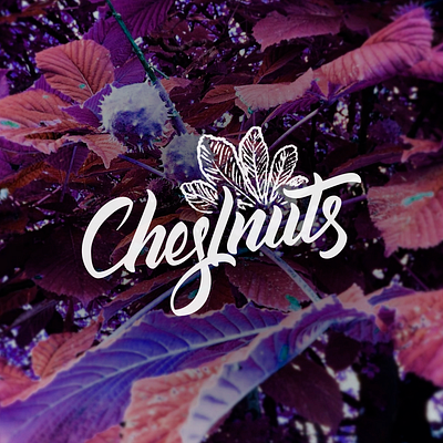 chestnuts calligraphy calligraphy and lettering artist design hand drawn handlettering illustration lettering letters typography vector