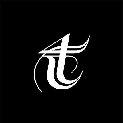 T 36days 36daysoftype calligraphy font font design letter lettering type art type design typeface typography