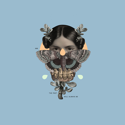 The Past Will Always Be butterfly collage illustration plants woman