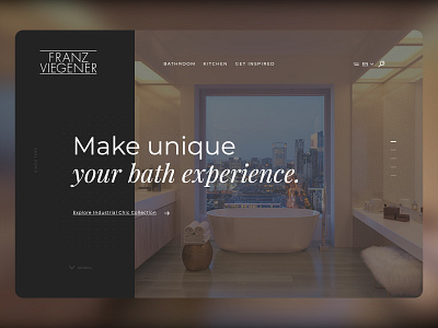 Franz Viegener US Web Design design ui ux web website