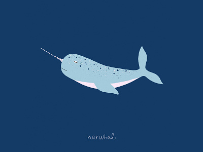 Narwhal animal illustration childrens illustration illustration narwhal procreate