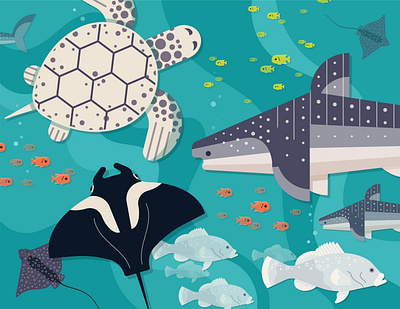 Ocean Voyager Puzzle Illustration atlanta fish illustration minimal puzzle ray simple tank turtle vector whale shark