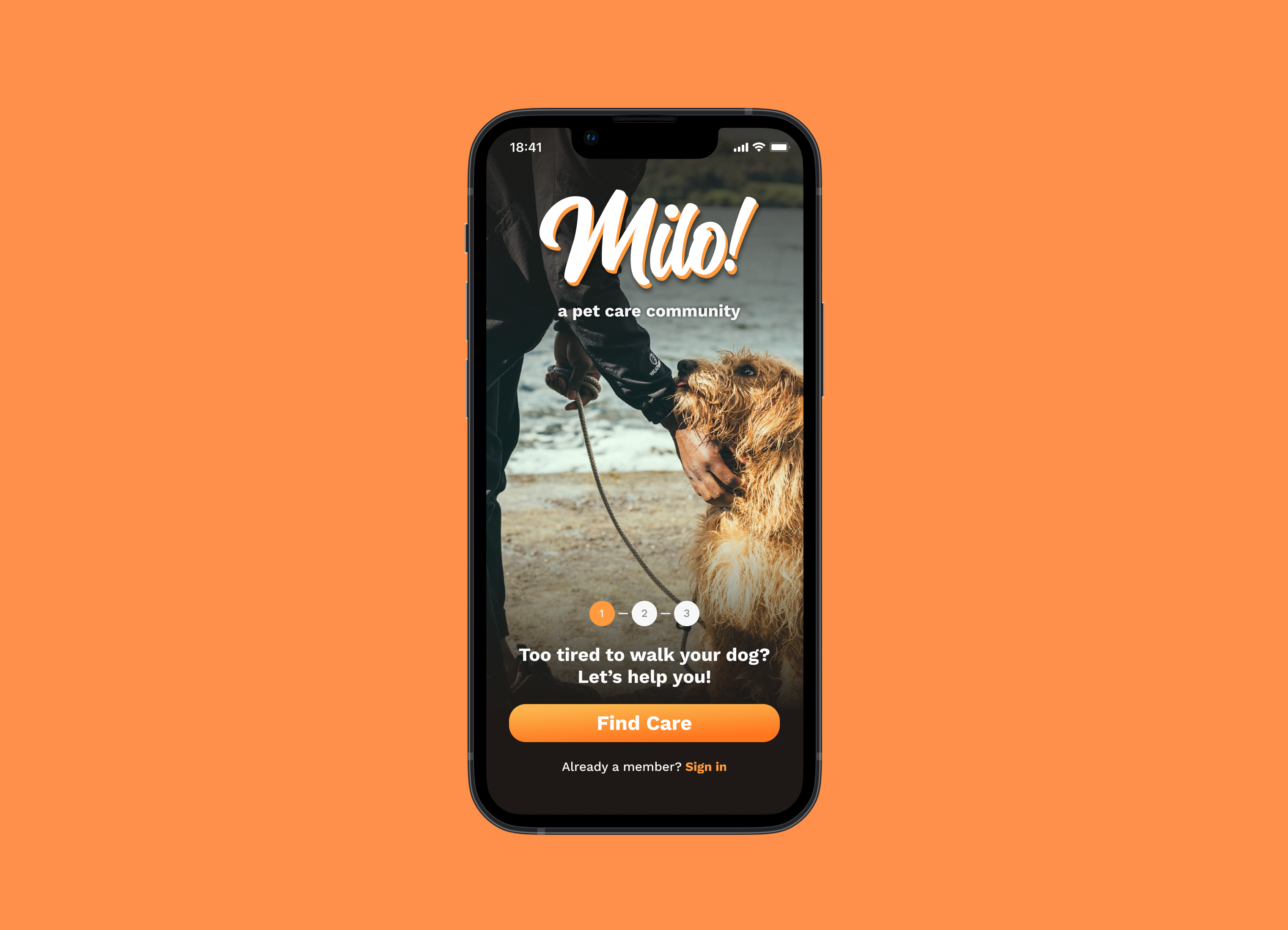 Milo! - Pet Care Application app branding pet walking product design ui ux