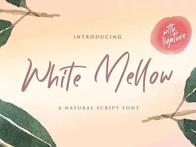 White Mellow - Handwritten Script Font calligraphy casual classy elegant feminime handdrawn handlettering handwritten ligature logotype luxury modern signature stylish whimsical