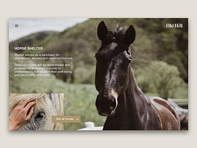 Horse shelter Old Hill 🐴 application clean clean design design homepage homepage design horse horses landing page photography shelter ui uiux ux web design webdesign website website design