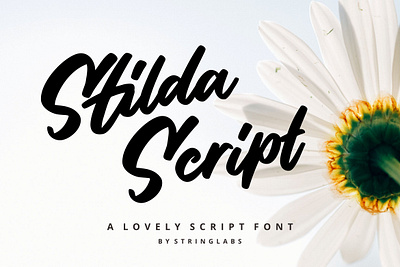Stilda - Lovely Script Font calligraphy casual handbrush handdrawn handlettering handwritten handwritting letter ligatures logotype otf script ttf typography