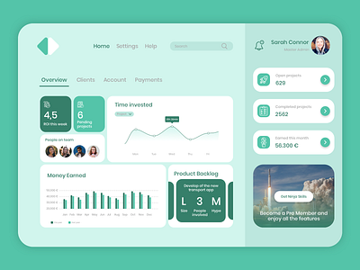 Project Management Dashboard branding design ui ux web