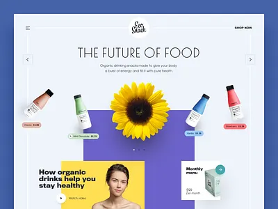 Eco Snack Website business colourful design eco products eco snacks eco website ecology entrepreneur environment halo halo lab startup web design website