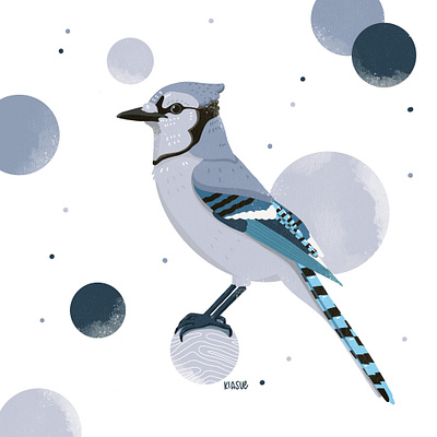 Blauhäher apple pencil bird bird illustration blauhäher draw drawing illustration kiasue procreate procreate art procreate drawing procreate illustration