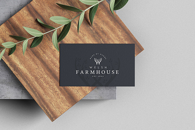 Welsh Farmhouse Branding branding design illustration logo