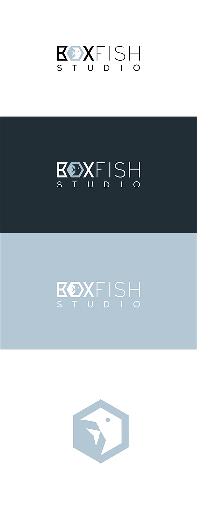 BOXFISH LOGO design illustration minimal ui web