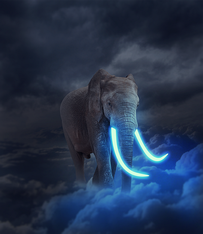 Glowing Elephant advertisement brand graphic design image manipulation manipulation portfolio