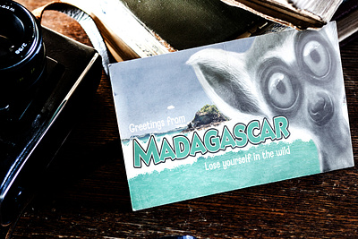 Visit Madagascar design digital art graphic design illustration