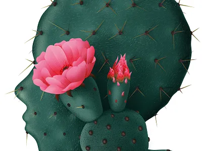 Cactus 2d anano botanical cactus face floral flower illustration plants portrait texture vector
