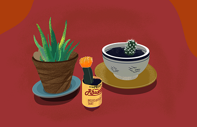 if it fits, cactus sits 👌