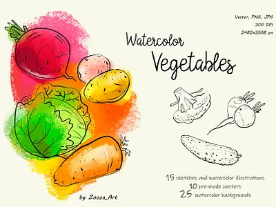Watercolor vegetables beet cabbage carrot clipart design illustration illustrations potato prints stickers vegan vegetables vegetarian watercolor watercolor art zooza