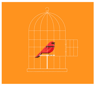 I'm happy here bird bird cage birds colour concept design illustration vector