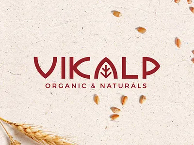 Logo Design for Vikalp organic & naturals branding flat design freelancer graphicdesign identity design illustration logo logodesigner typography vector