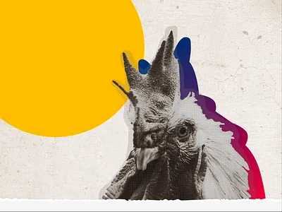 Happy Easter 2020 animation coronavirus design easter flat design flat illustration illustration primary colors roosters social distancing stay home