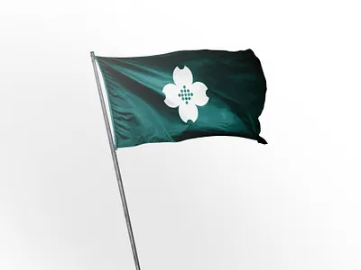 Charlottesville Flag II design flag flag design flags graphic design illustration symbol vector