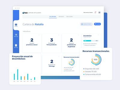 Smart Portfolio IDB design ui ux