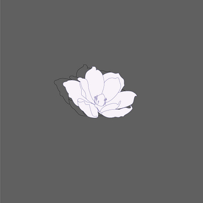 flower illustration adobe illustrator branding flower flower illustration gray illustration illustrator logo magnolia vector