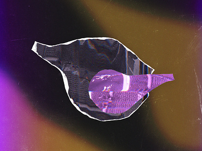 Weird Fishes - Artwork band blur fishes glitch noise weird