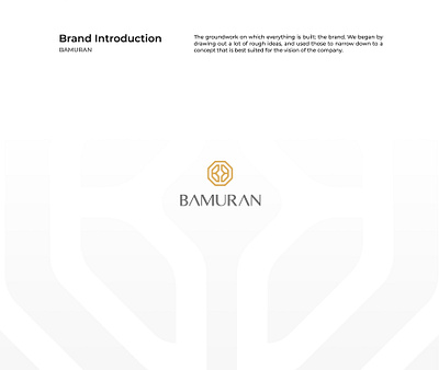 BAMURAN | Brand Identity brand brand identity branding design flat graphic design icon illustration logo vector