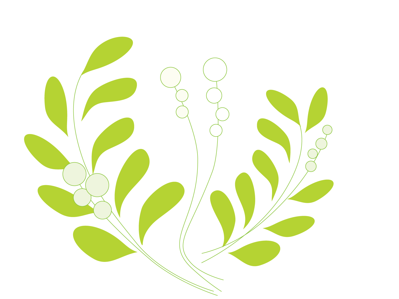 Example of leafs