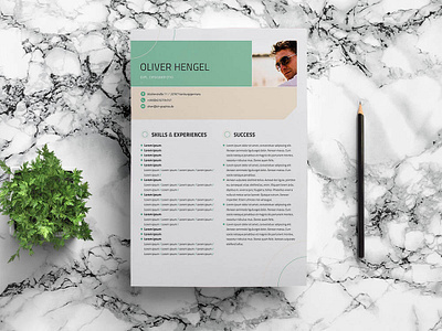 Free Resume Template curriculum vitae cv cv template design free free cv template free resume template freebie freebies resume