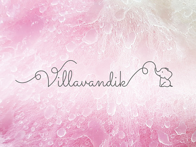 Logo for felted wool baby booties logo logodesign logotype