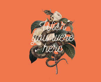 Wish You Were Here animals collage illustration plants snake type